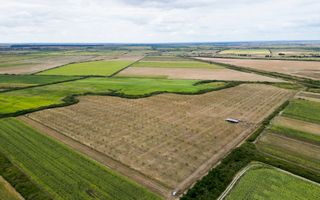 Livadă BIO de nuci de vânzare lângă Cermei - Poză 2