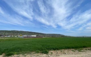 Teren Intravilan Podgoria 1800 mp - Poză 1