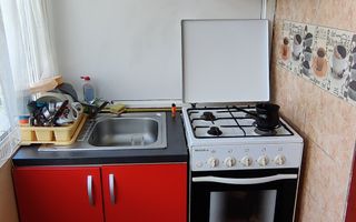 APARTAMENT 2 CAMERE LIPOVEI - Poză 4