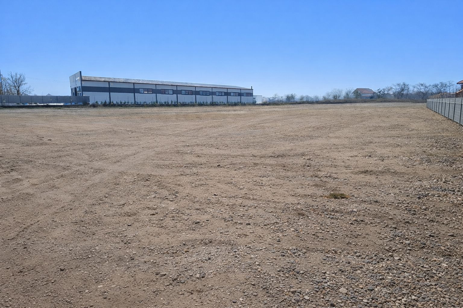 Teren 4.000 mp – Letea Veche - Poză 2