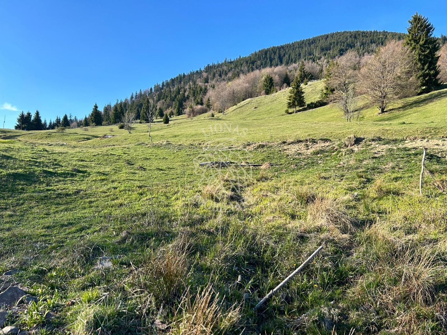 Teren 5000 mp-panorama spre Lac Colibita - Poză 1
