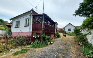 Casa renovata cu teren 7000mp la 19 km de Deva – Sat Nojag, Hunedoara - Poză 3