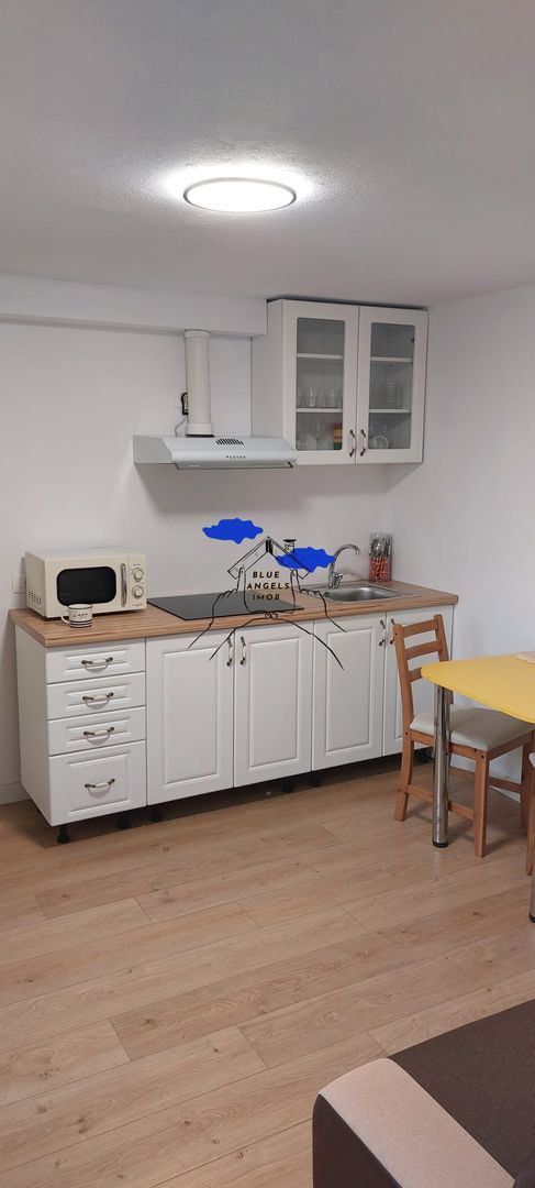 Garsoniera, PET FRIENDLY - 30 mp - zona AFI Mall - Poză 2