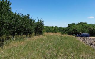 Teren cu livadă – 9.000 mp –la 400 m de ieșirea din Chișinau Cris - Poză 7