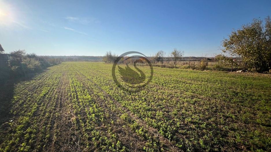 Teren intravilan de vanzare | 12.650 mp | Ghirdoveni | Comision 0% - Poză 4