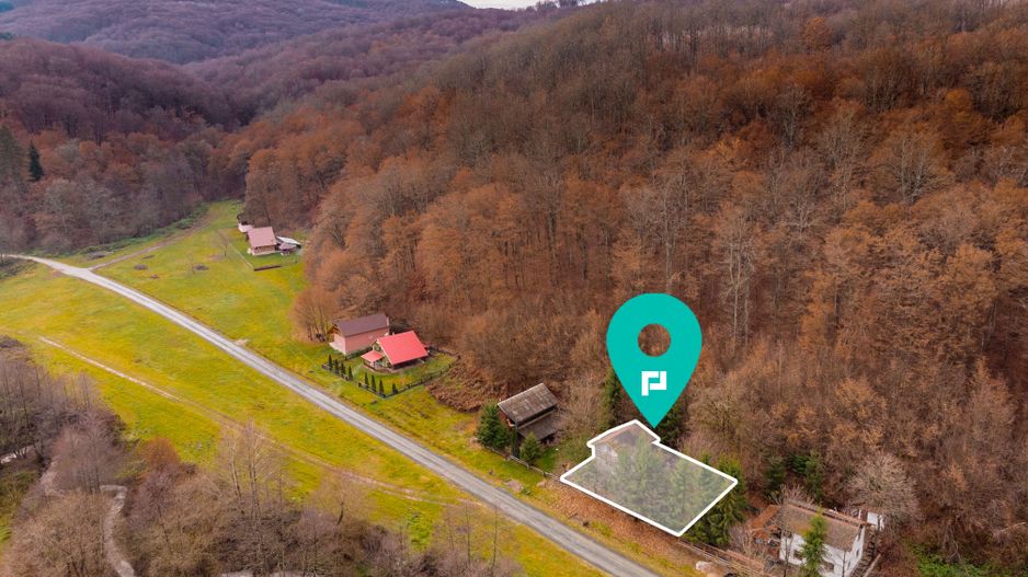 Casă de vacanța în Rădești jud.Arad - Poză 2