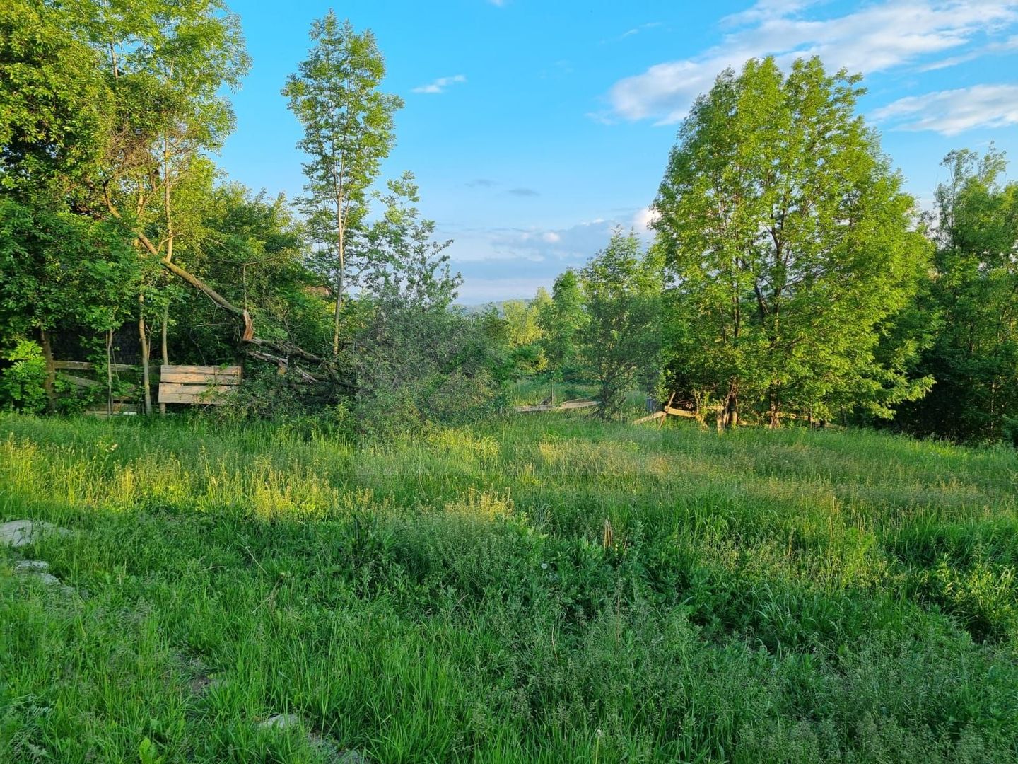Teren Intravilan Ilisesti/Suceava - Poză 11