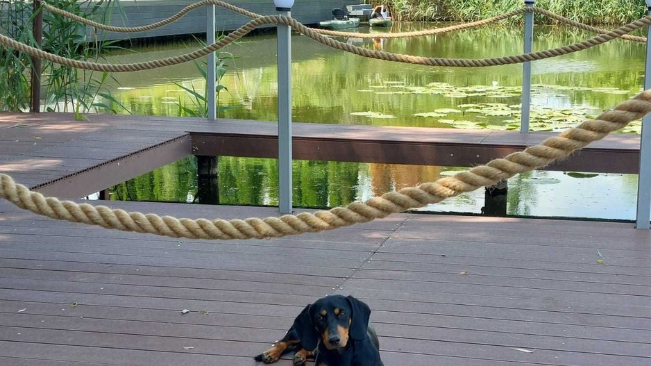 Vila cu ponton de inchiriat | Lacul Snagov - Poză 1