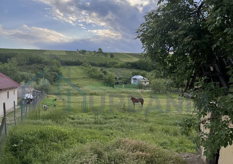 Teren intravilan de 6000 mp in Coarnele Caprei, Valea Babei, cu iesire la strada principala - Poză 2