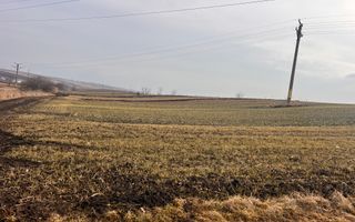 Teren Intravilan de Vânzare 33 Ari | Suceava/Ipotesti I 82.500 Euro - Poză 5