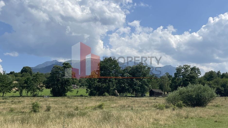 Teren de vanzare in  Tohanu Nou-Sohodol 6200 mp - Poză 1