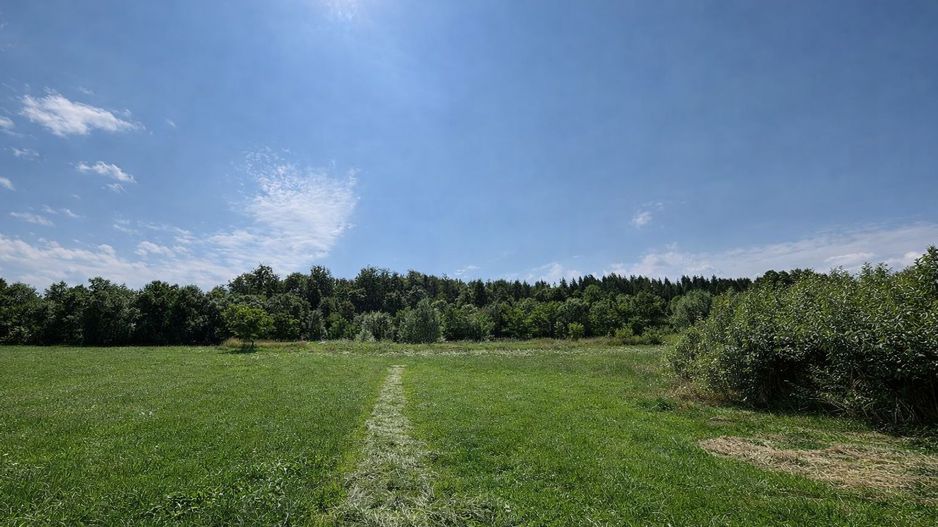 Teren extravilan | Horodnic De Sus | 3600MP - Poză 2