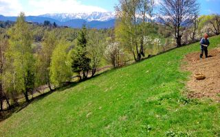teren intravilan in zona Magura Bran - Poză 10