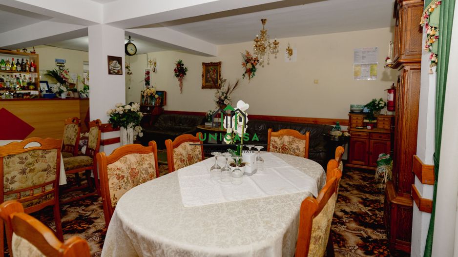 PENSIUNEA EVRICA - COSTESTI - HOREZU - VALCEA - Poză 25
