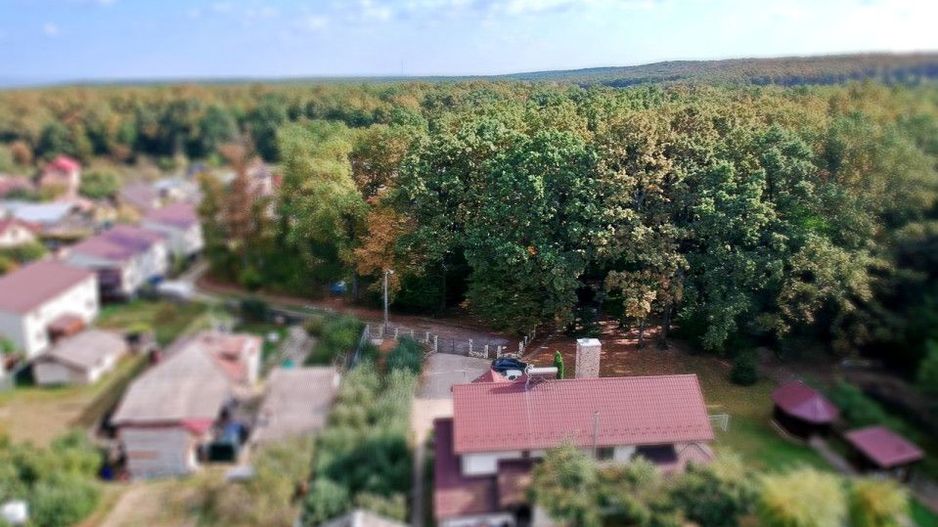 Ocazie!! Vanzare teren - padure, toate utilitatile, Balotesti - Poză 8