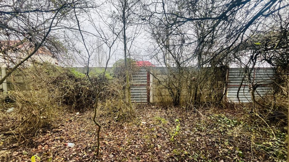 Casă cu teren de 1.463 mp în Ghizela, Timiș – Comision 0% - Poză 2