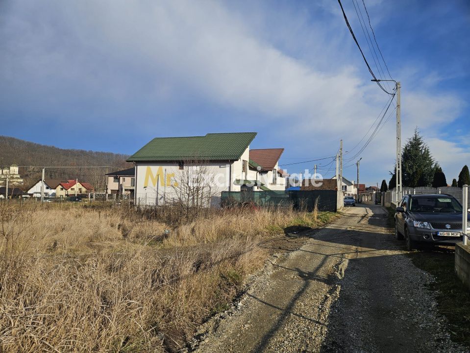 Teren 1.250 mp, toate utilitatile – Bascov, Valea Ursului, AG - Poză 2