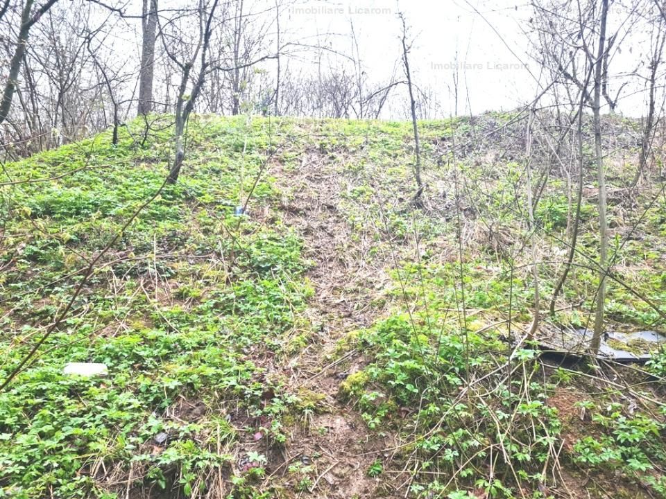 Teren intravilan1291 mp Schei Str Nisipului iesire la Drumul Poienii - Poză 3