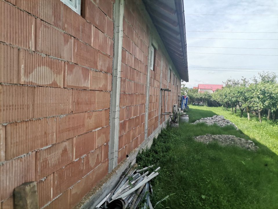 Inchiriere hala depozitare si teren, Labusesti - Poză 6