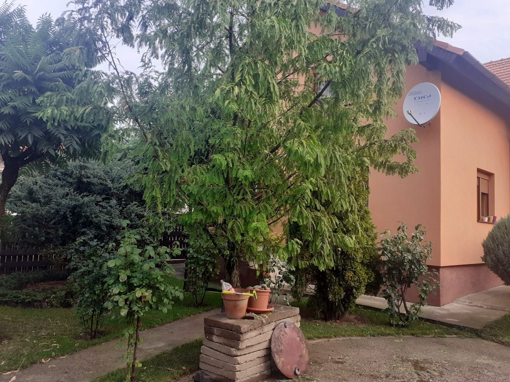 BRASADAS vinde casa cu 6 camere si teren 1200mp în Amati. - Poză 2
