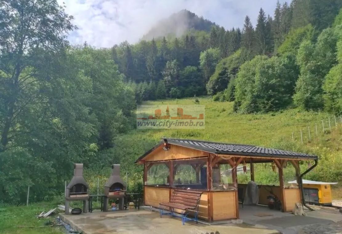Vanzare Pensiune , Casa ,  Rezervatia Piatra Craiului / Satic, Arges - Poză 7