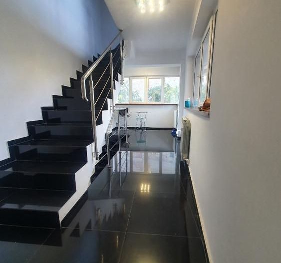 Vila Dacia/Institul Francez - Poză 7