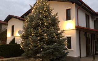 Vila tip duplex in Pipera, Voluntari - Poză 6