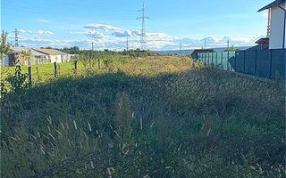 Vanzare Teren Colibasi Intravilan - Poză 2