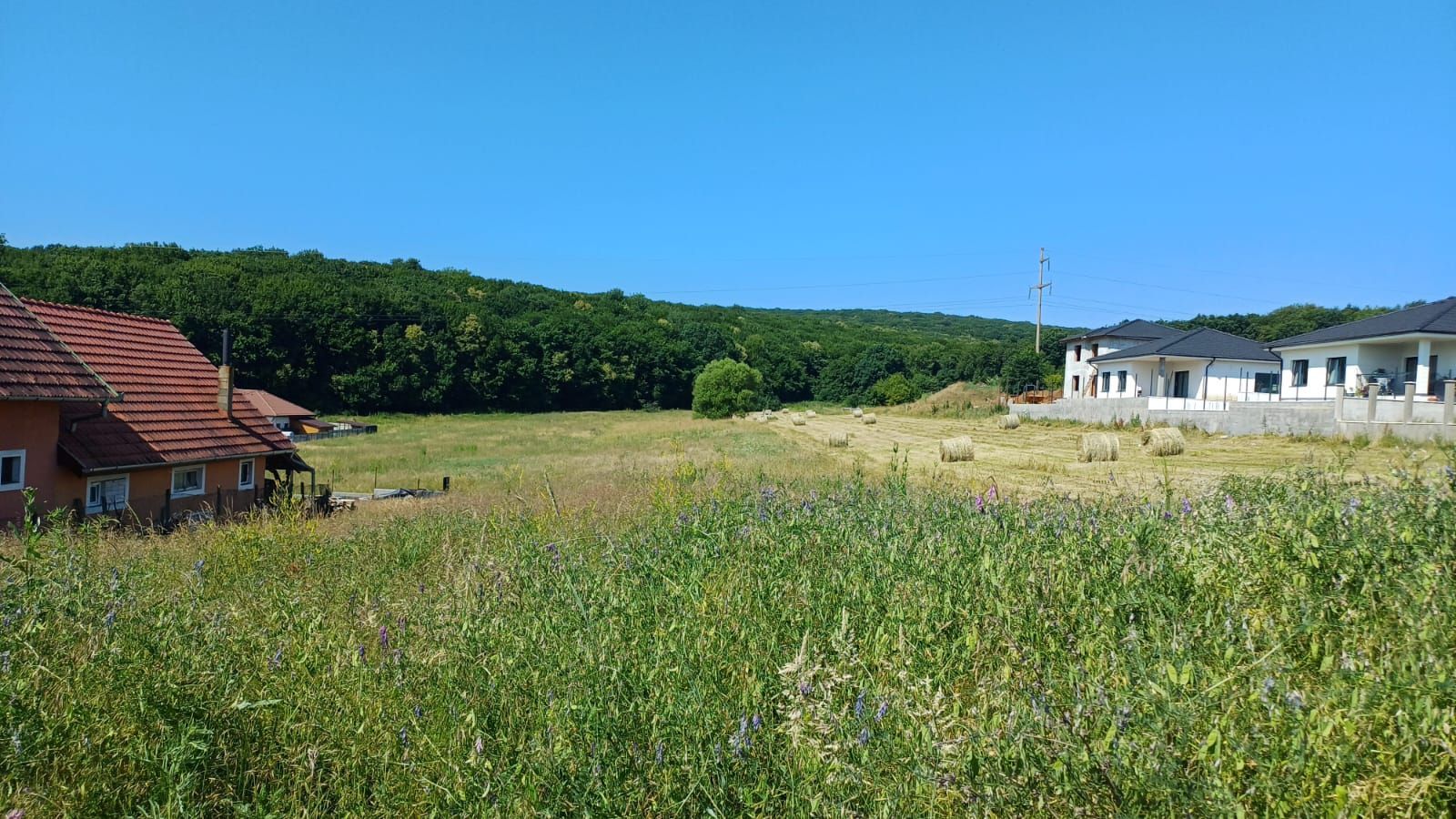 Teren intravilan - Corunca - Poză 2