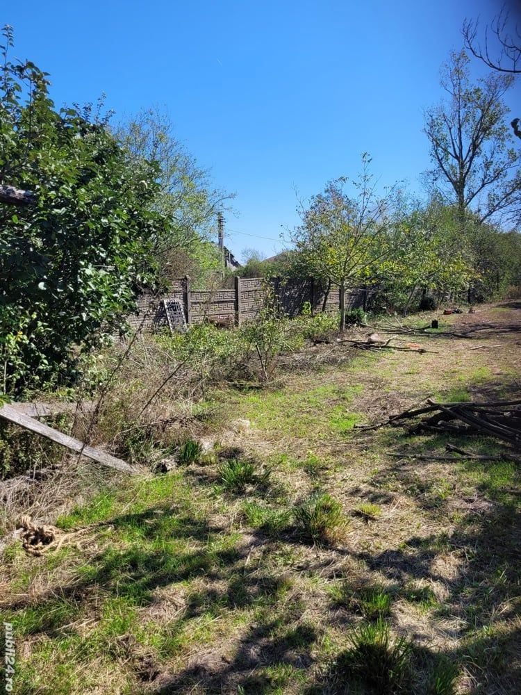 BRASADAS vinde casa in Moftinul Mare. - Poză 3