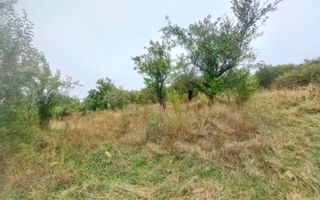 Teren 58 arii cu deschidere la drumul principal – Miron Costin - Poză 3