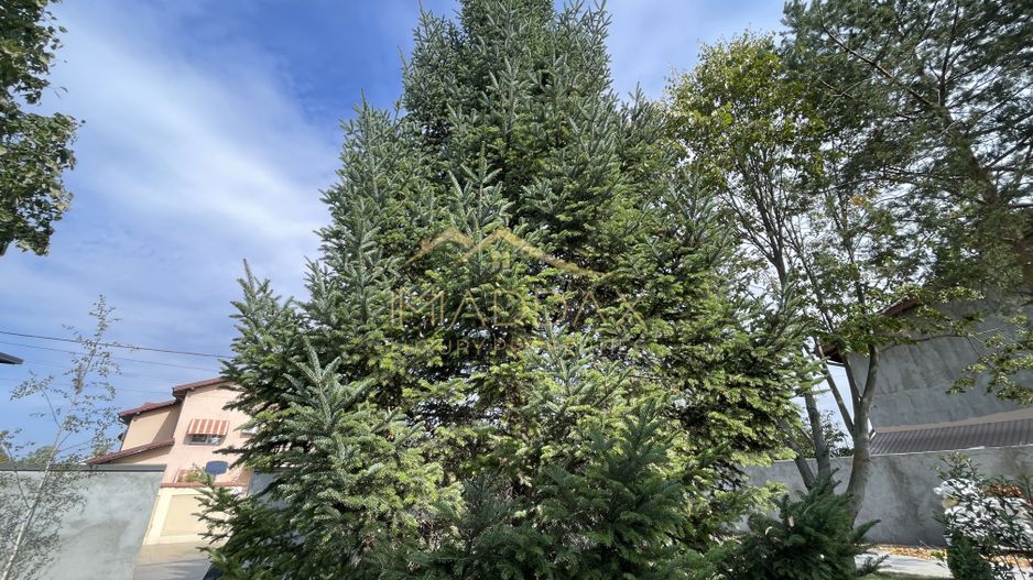 Vila cu 5 camere // * 565 mp gradina* // Tunari - Poză 59