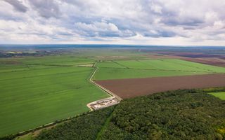 Teren 13500000 mp în Socodor - Poză 13