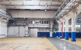 hale in parcul Roman sau tractorul - Poză 4