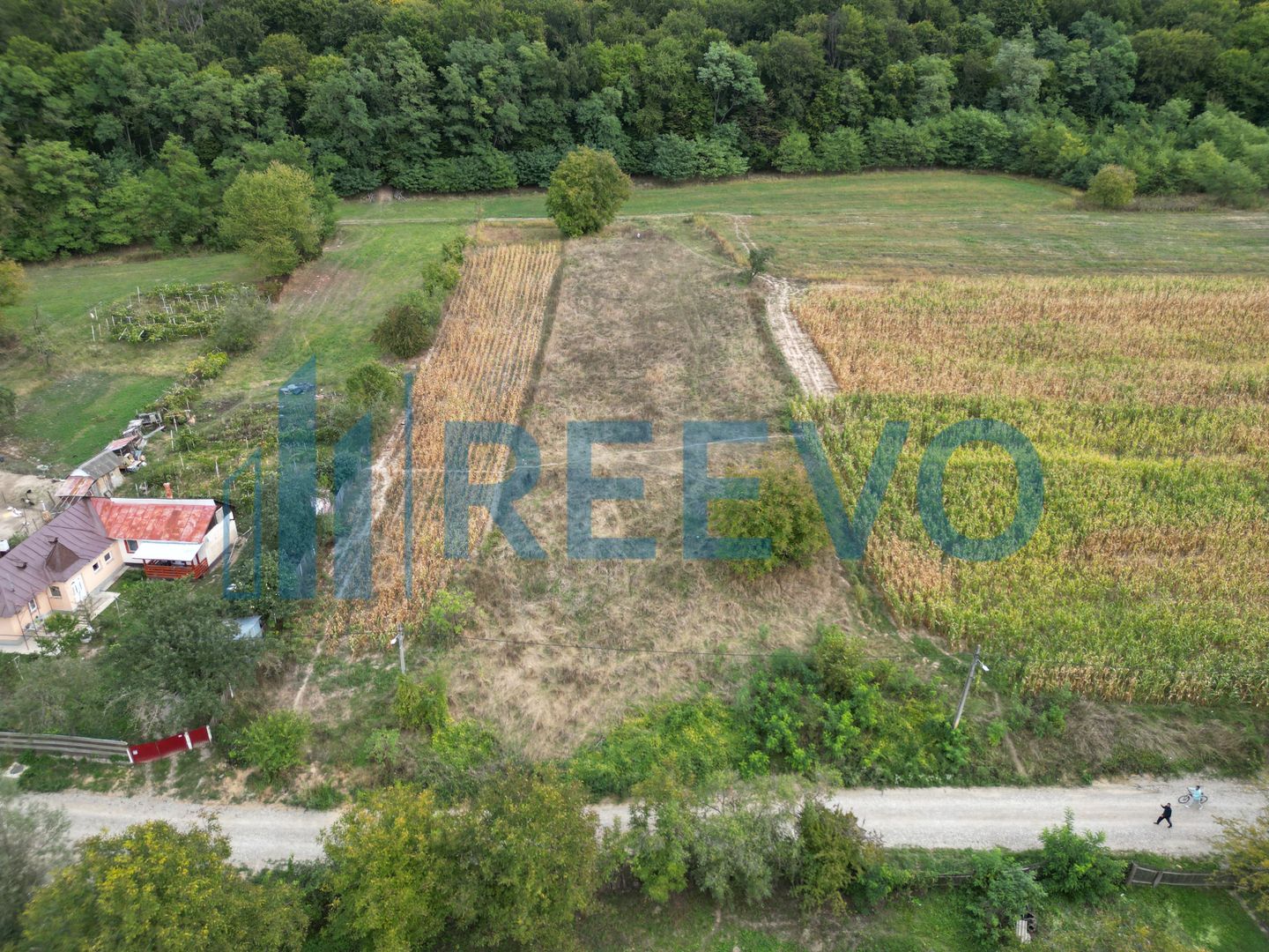 Teren intravilan lângă pădure, Racova - Poză 5