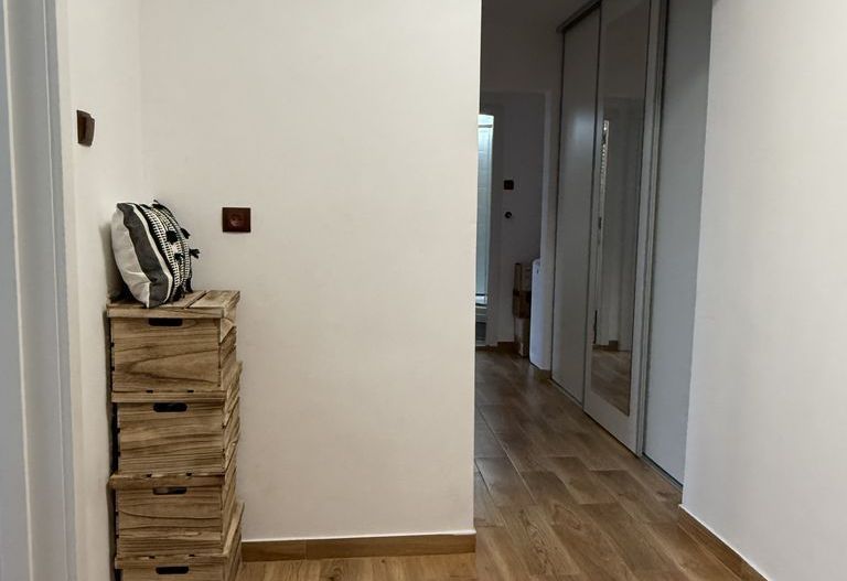 Apartament 3 camere zona Liviu Rebreanu - Auchan Titan - Poză 11