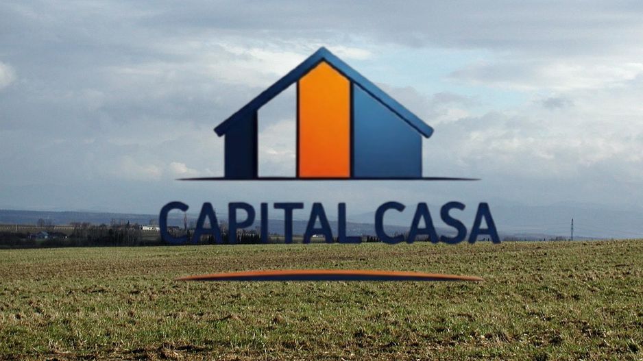 Teren extravilan de 20.000 mp cu dublă deschidere în Băicoi - Poză 1