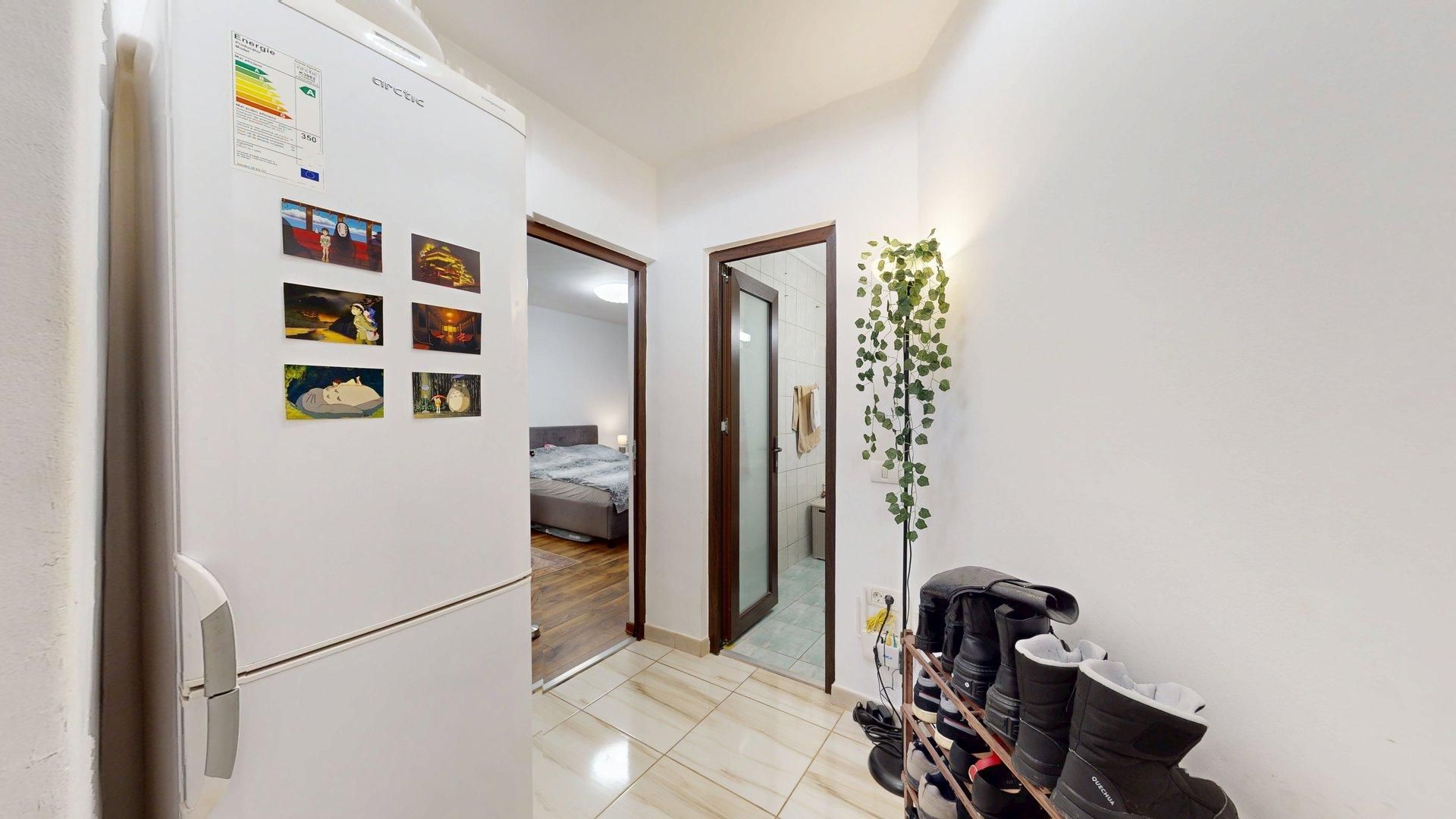 Garsoniera Teiul Doamnei Sos. Colentina - Poză 13