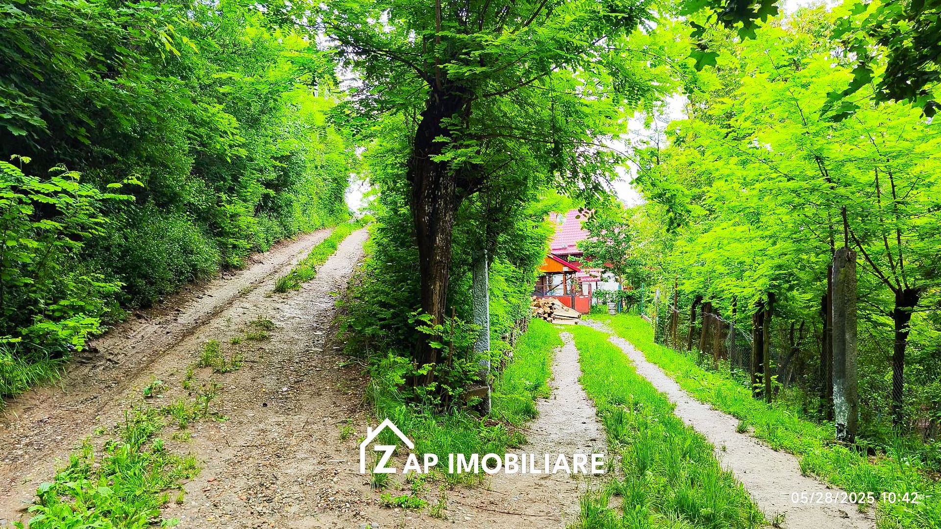 Teren Platou - 1613 mp - cu căbănuță intabulată– vedere panoramica - Poză 6