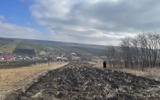 6.000 mp intravilan sat Avintu - Poză 4