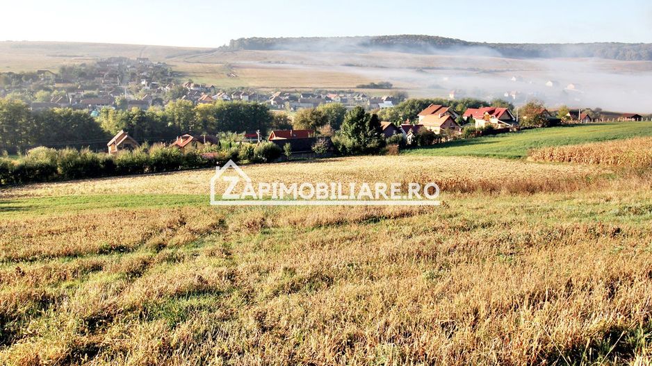 Teren 25.000 mp.  Comuna Voiniceni ,12 euro mp.comision ZERO - Poză 1