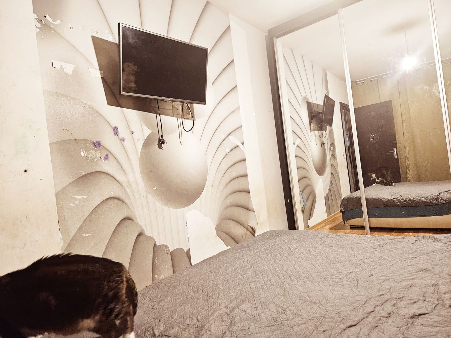 Garsonieră 50mp , 2 camere, New Town Residence–Dristor, preț negociabil - Poză 8