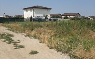 Teren 585 mp, intravilan, in Domnesti catre Teghes, din str. Curtea Domneasca - Poză 5