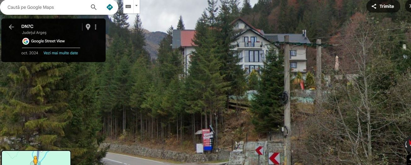 TEREN EXTRAVILAN PADURE PISCUL NEGRU ARGES - Poză 5