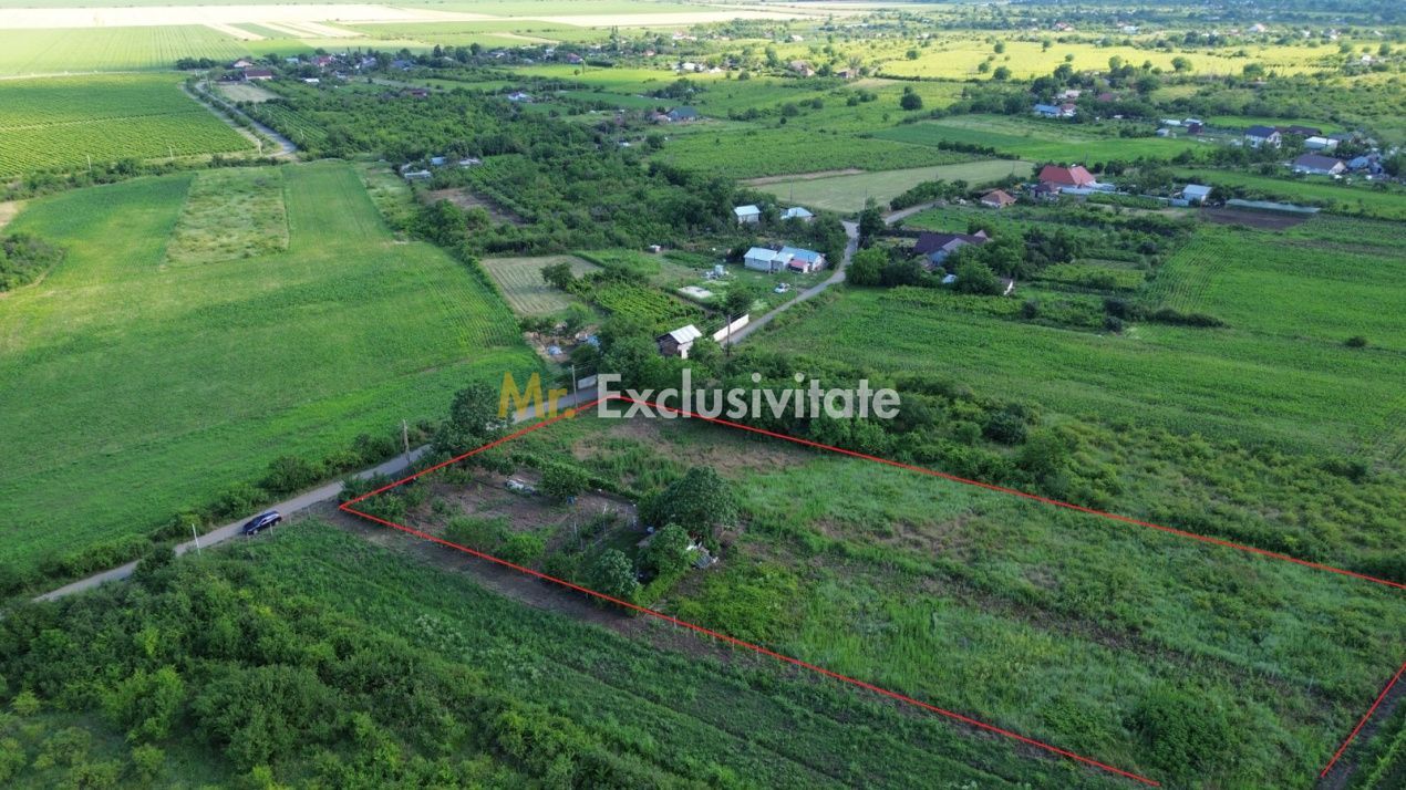 Teren Urlați / Investitie / 5.555 mp pe Traseul MARVIN si Drumul Vinului - Poză 5