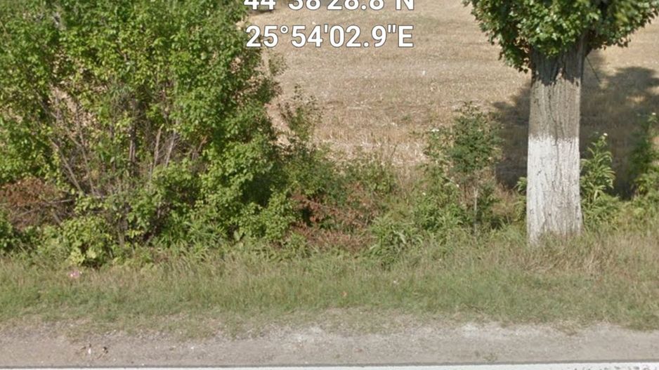 Teren intravilan 80975 mp in Crevedia - Poză 7
