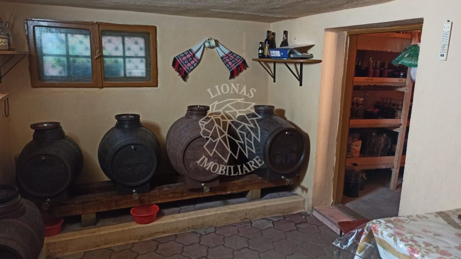 Casa 190 mp-teren 1860 mp-garaj-curte amenajata-Valea Sigmirului - Poză 7