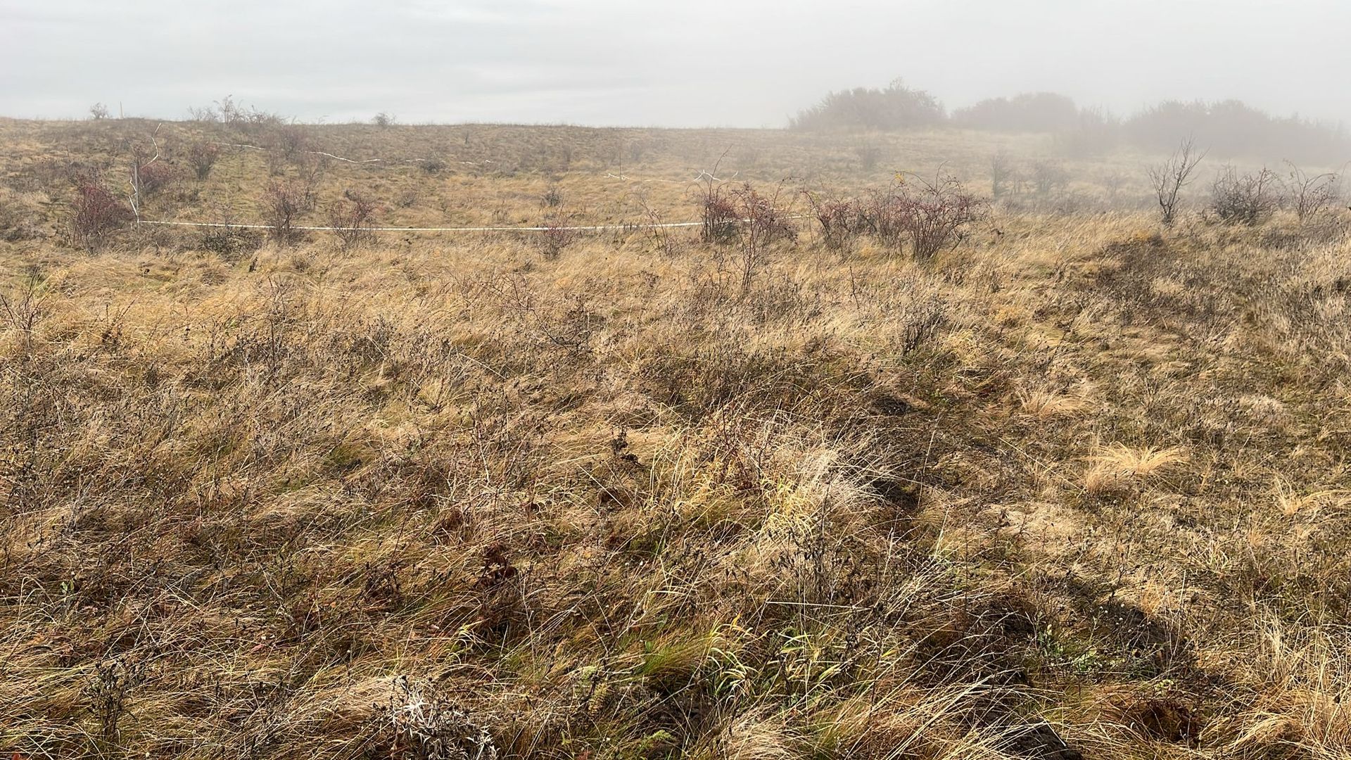 COMISION 0% Teren 623mp Cluj-extravilan / Iesire spre Padureni - Poză 7