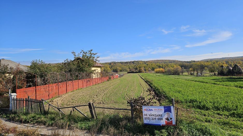 Teren de vânzare - 4000 mp stradal, DN73 Pitești - Câmpulung - Poză 9