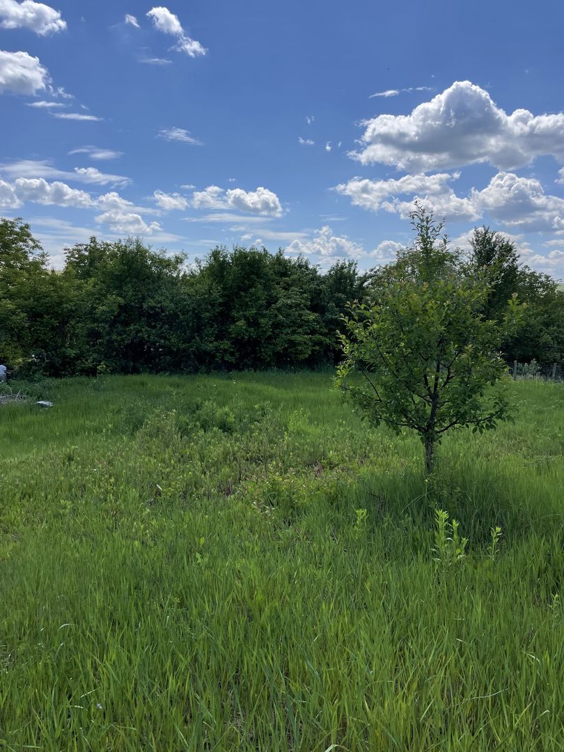 Casa in Comuna Geaca - Poză 14